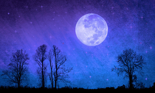 Full Moon, Dark Starry Night, Tree Silhouettes - Gothic Atmospheric Mood - Elements of this image are furnished by NASA.