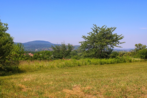 View at the hill in the distance with bushes and grass field. Hiking trail. Sunny Summer day.