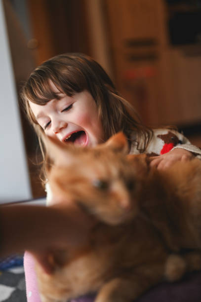 Laughing girl playing with cat.