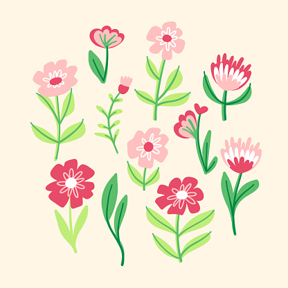 Spring and summer flower collection, with vector leaves, floral bouquets, wildflower