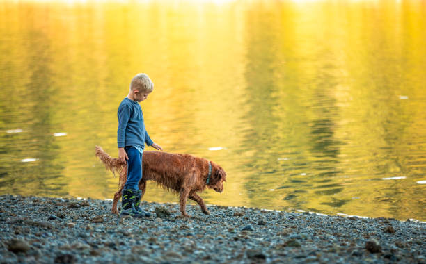 Child petting his dog walking together by a lake.
