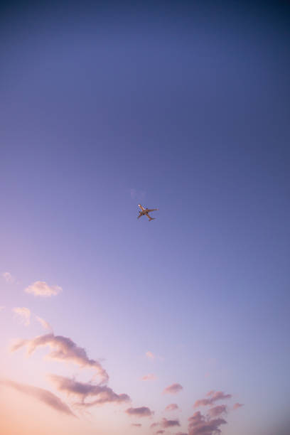 Airplane in the Sky