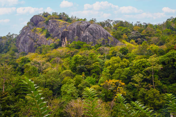 istock Sri Lanka landscapes nature background. 2149739661