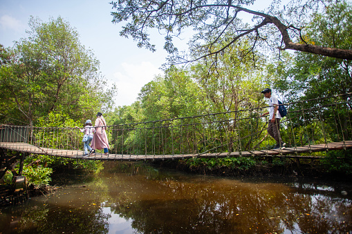 Tourist are enjoying the cool and calming atmosphere of Mangrove Nature Tourism Park Area in Muara Angke, Pantai Indah Kapuk, Jakarta. A green area and tourist destination.