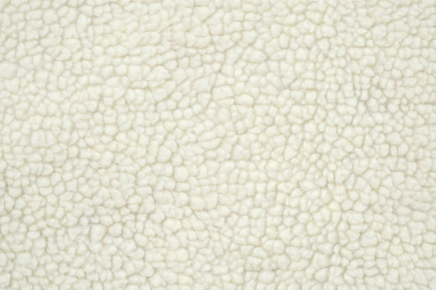 istock Wool plush fleece fur fabric texture background 2149746869