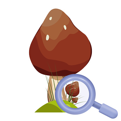 Search for forest mushrooms. View through a magnifying glass. Collection of raw forest edible and poisonous mushrooms. Designs for gourmets, diets, cooking. Bright vector isolated icon.