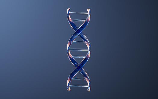 Photograph of DNA Model made exclusively for istock