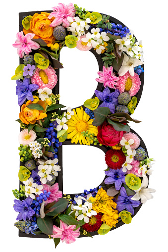 Flower font concept. Unique collection of letters and numbers. Spring and summer creative idea.