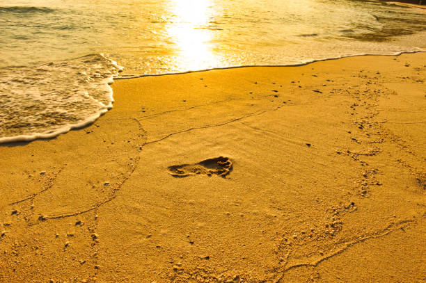 A heart shape etched in warm sand, surrounded by gentle footprints on a serene beach at dusk.