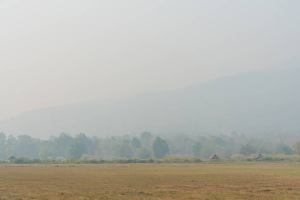 Countryside landscape mountains covered by smoke from fire forest burn, pollution problem pm. 2.5