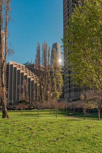 Urban park with fresh green grass and leafy trees, with modern skyscrapers in the background and sunlight peeking through.