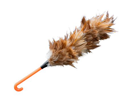 Feather duster isolated on white background.