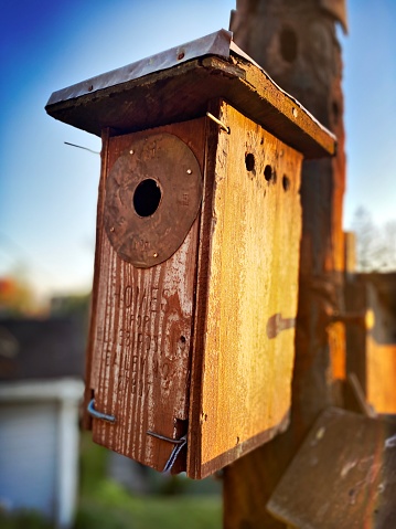 Old Wooden Birdhouses at Sunset
