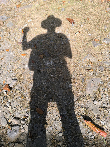Woman along the Pacific Crest Trail