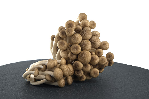 Cluster of brown beech mushrooms, also known as Shimeji mushrooms arranged on black stone plate over white background