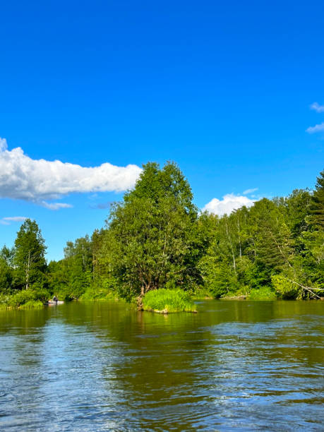 istock Forest and river in summer in central Russia 2149764799