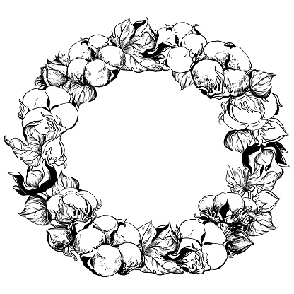 Round cotton frame with space for text. White cotton flowers using engraving technique. White cotton balls, leaves and branches. Vector retro illustration. Ink drawing.
