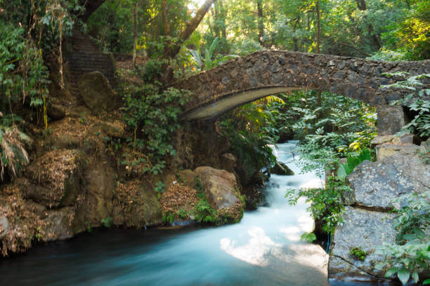The Twin Bridges are two adjacent arch bridges located in the Arhavi district of Artvin province in northwestern Turkey.