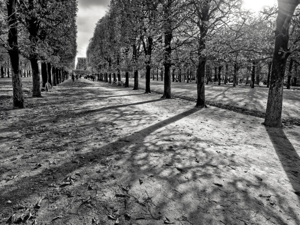The City of Paris France on October 20, 2023:   People out enjoying the walkways found in the Jardin du Luxembourg public park on a nice fall day, in Paris France