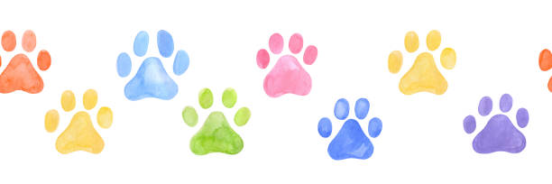 istock Dog paw seamless border. Multicolored puppy or cat paw track. Abstract endless animal background 2149770538