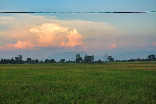 evening sky in the rice fields