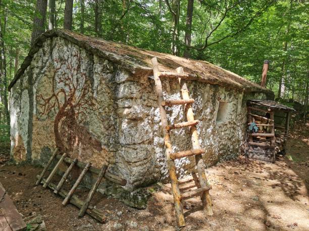 istock small old house in the forest 2149773293