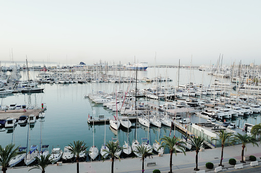 Palma de Mallorca Marina in early morning light after sunrise. View over the Palma Waterfront and Marina Promenade with anchored sailboats, yachts, motor boats, tourboats and catamarans from above. Palma Marina, Mallorca Island, Balearic Islands, Catalonia, Spain, Europe