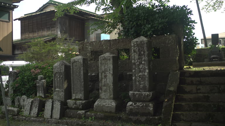 Steady shot of the stone japanese graves covered with mold