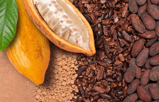 istock cocoa fruit with beans and cocoa powder 2149774148