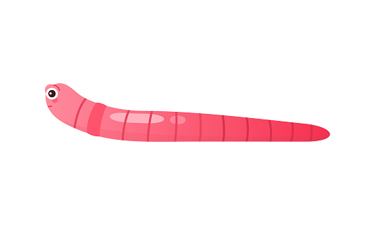 Cute pink worm crawling, earthworm lying on garden or forest ground after rain vector illustration