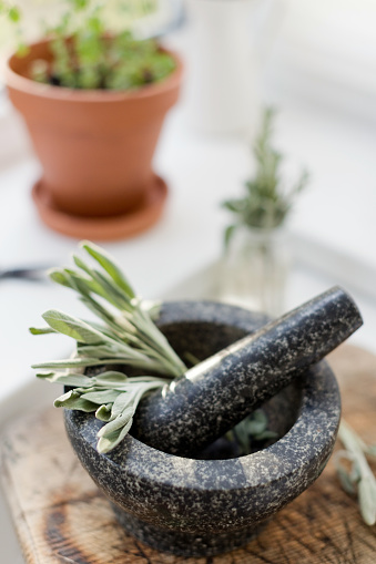 Bunch of green sage in a stone mortal with pestle at the kitchen. Aromatic kitchen herbs, bunch of green salvia. Homeopathy, pharmacy and apothecary concept