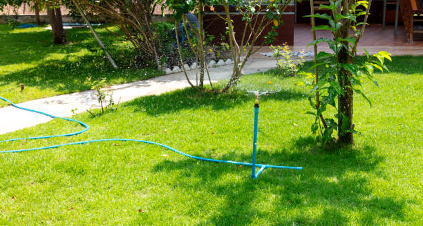 istock The lawn is watered in the park 2149775608