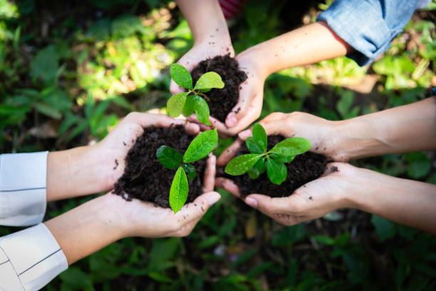 istock Ecology sapling tree growing up and planting on land. Hands kids Team work protecting and reduce global warming earth.Ecology concept 2149775762