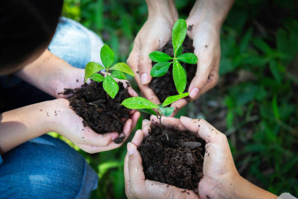 istock Ecology sapling tree growing up and planting on land. Hands kids Team work protecting and reduce global warming earth.Ecology concept 2149775765