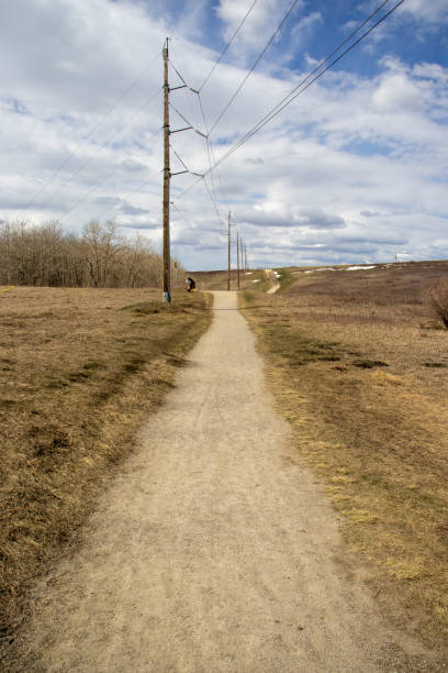 istock Endless Dirt Road Stretching into the Distance 2149777064