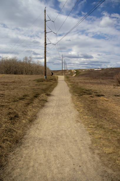 istock Endless Dirt Road Stretching into the Distance 2149777068