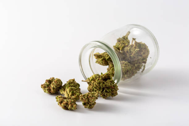 istock dried cannabis flowers on white background 2149778364