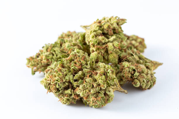 istock dried cannabis flowers on white background 2149778398