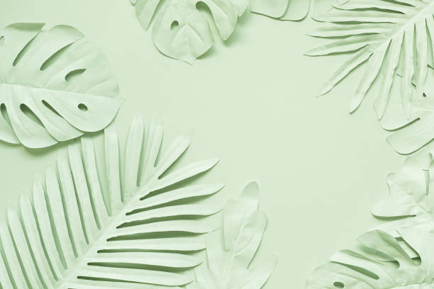 istock tropical leaf,leaves collection for design with dark and luxury gold color.creative and minimal art nature background.decoration pattern 2149783763