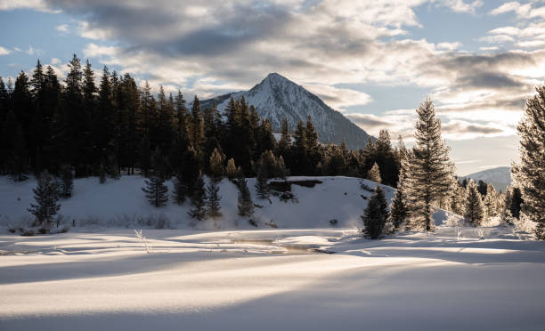 Morning sunbeams near crested butte
