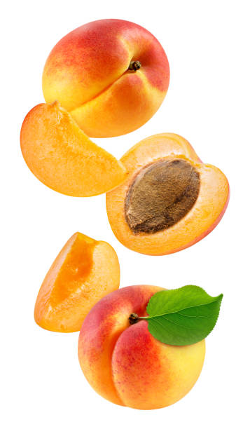istock Whole and slice apricot on white background 2149785426