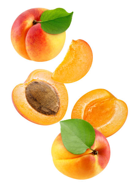 istock Apricot and half isolated on white background 2149785561