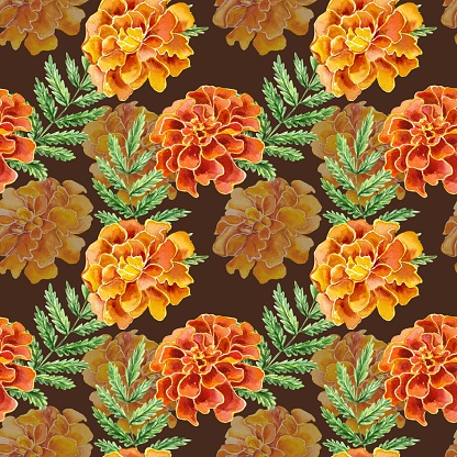 Marigolds seamless pattern. Hand drawn watercolor illustration of flowers on a dark background. For Birthday Cards, Day of the Dead, Invitations, Fabric, Wrapping Paper, Covers.