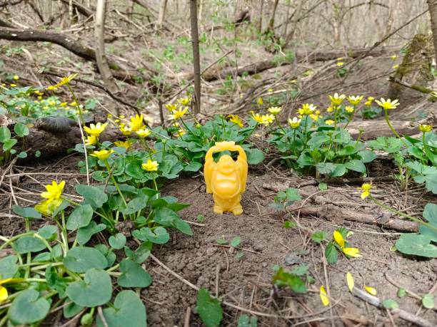 A statuette of a smiling Buddha and blooming yellow wildflowers in a grove.