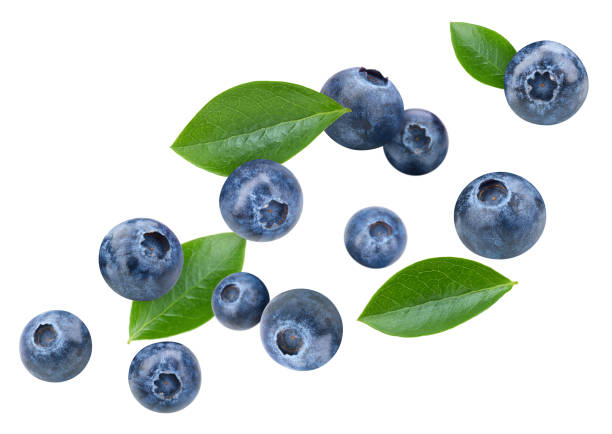istock Organic blueberry isolated on white background 2149786350