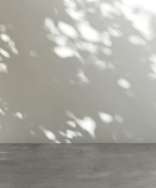 istock Empty room with sunlight, tree leaf foliage shadow on white wall, dark gray floor 2149787182