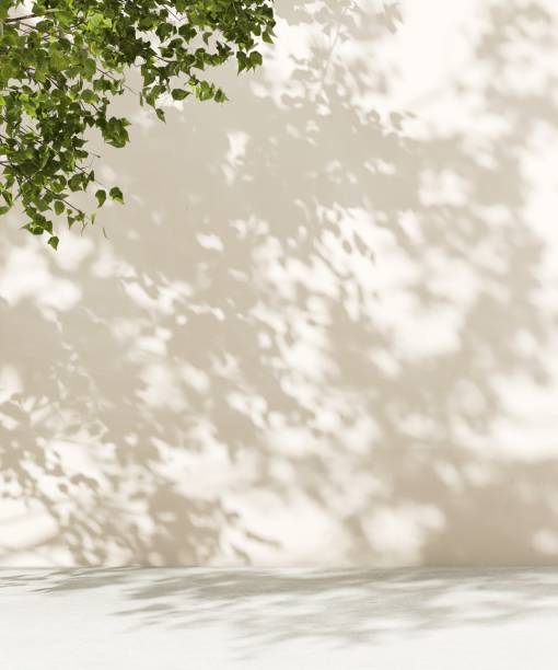 istock Dappled sunlight, green leaf foliage shadow on beige wall, white floor 2149787460