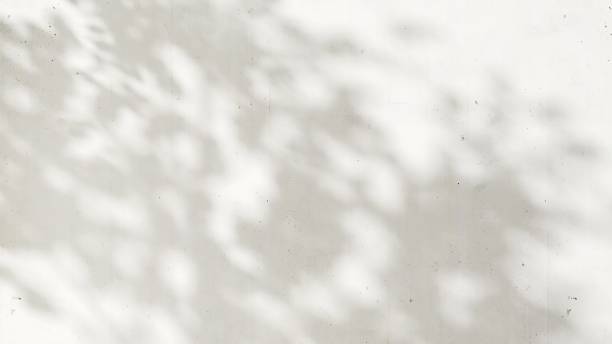 istock Sunlight cast dappled light and leaf foliage shadow on blank white concrete wall 2149787487