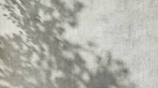 istock Sunlight cast dappled light and leaf foliage shadow on blank polished cement wall 2149787488