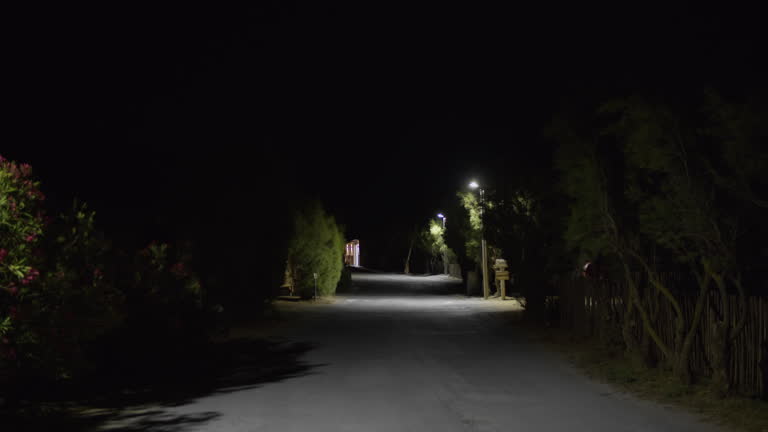 Windy night on illuminated rural street